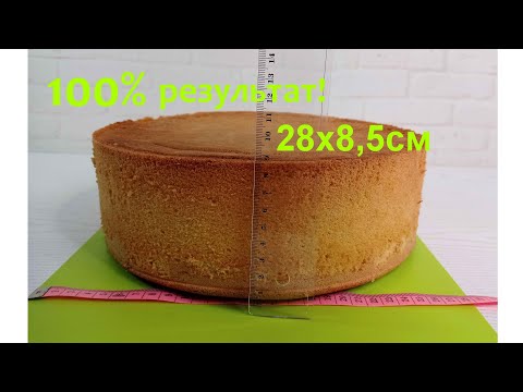 Видео: СЕКРЕТ пышного БОЛЬШОГО 28х8см бисквита без разрыхлителя! ПОДРОБНО все нюансы! от ТОРТЫ и КУЛИНАРИЯ!