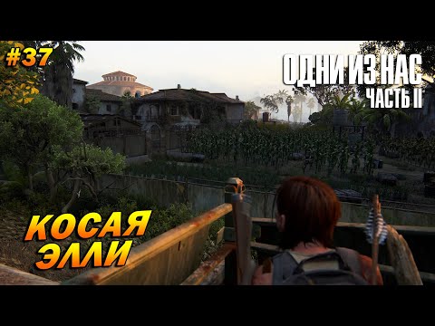 Видео: The Last of Us Part 2: Remastered ➤ Прохождение #37 (Реализм) ➤ Косая Элли