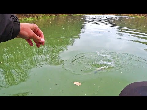 Видео: ВОТ ЧТО ЗНАЧИТ ПОПАЛ НА ТРОПУ РЫБЫ! КЛЮЮТ БЕЗ ОСТАНОВКИ! Рыбалка на мормышку с лодки 2024.