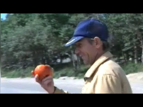 Видео: Оха — Кадры из прошлого