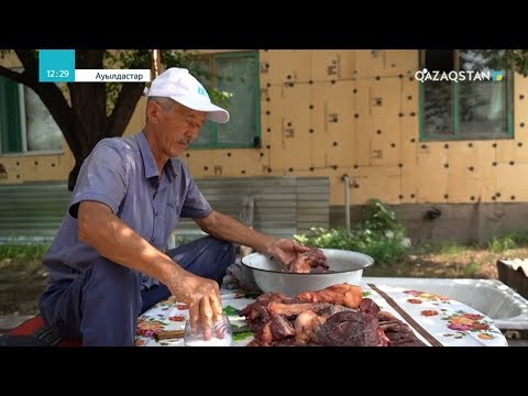 Видео: «АУЫЛДАСТАР». Шу ауданы, Төле би ауылы