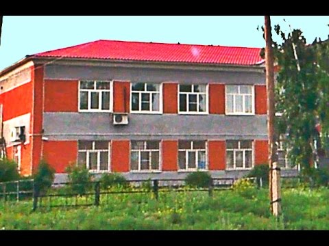 Видео: Волчиха проездом