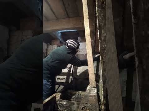 Видео: Обработка погреба против грибка.Fungicide treatment of the basement.