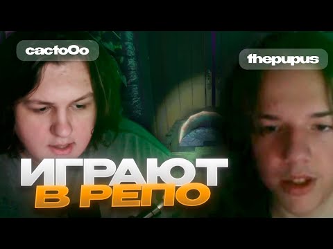 Видео: КАКУС И ПУПУС ИГРАЮТ В РЕПО (07.11.25)
