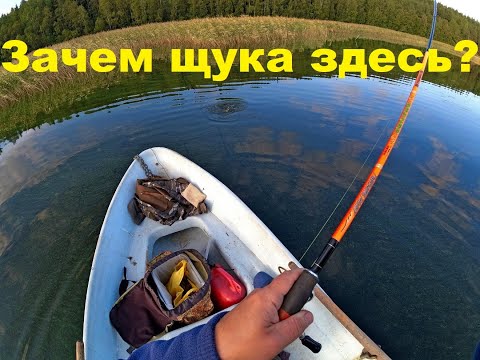 Видео: Почему щука выбирает одни и те же места.