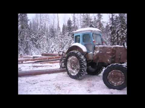 Видео: Т-40АМ работа в лесу...