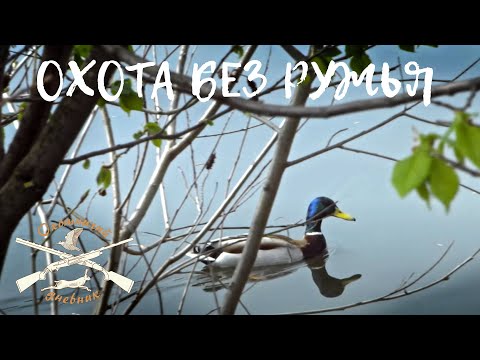 Видео: Удачная "охота" в межсезонье без ружья. (Охотничий дневник #8)