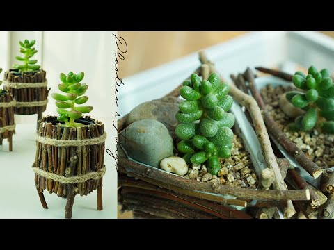 Видео: Мини-горшки из веток для суккулентов, повторное использование пластика, горшочки из веток