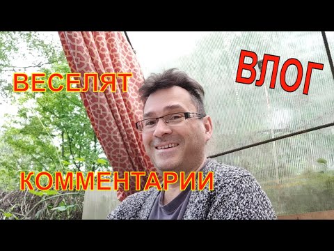Видео: Влог💥 Меня веселят😂 комментарии/ Всем огромное спасибо🙏