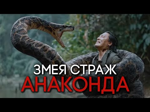 Видео: АНАКОНДА | ВСЁ О ГИГАНТСКОЙ ЗМЕЕ ИЗ ФИЛЬМА
