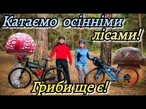 Видео: Катаємо осінніми лісами! Гриби ще є!
