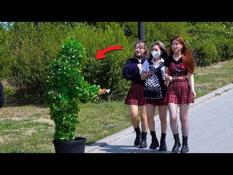 Видео: Дамы весело провели время: розыгрыш бушменов!!