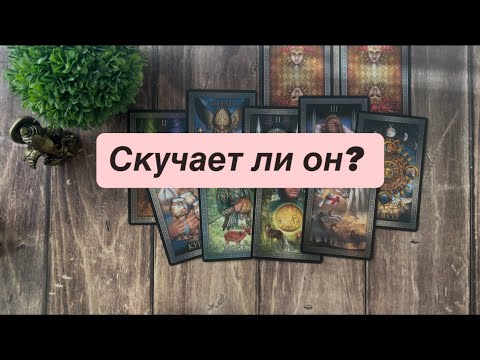 Видео: 🩷🩷🩷Скучает ли он? 🫂😍
