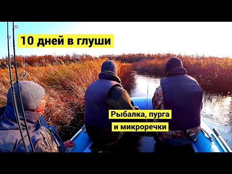 Видео: 10 дней в глуши! Рыбалка, пурга и микроречки