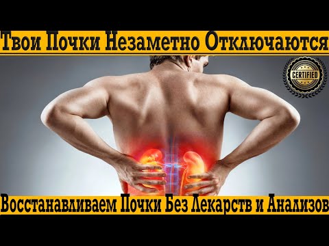 Видео: У тебя токсические ПОЧКИ, а ты не знаешь! Не пропускай эти симптомы!