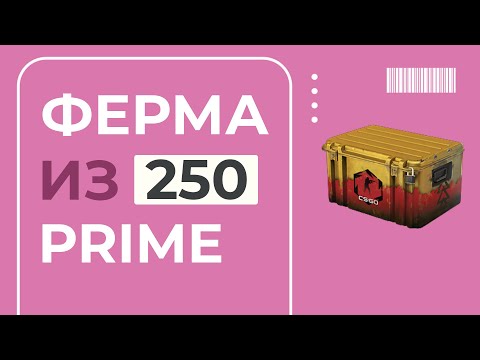 Видео: СКОЛЬКО ЗАРАБОТАЛ С 250 ПРАЙМАХ | ФЕРМА В CS2 2025 ГОДУ #5