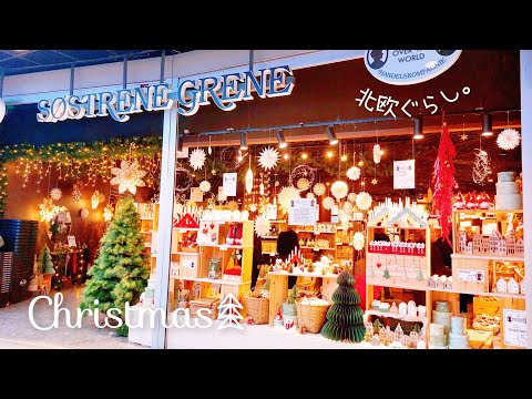 Видео: Скандинавская жизнь𖠰 Милые рождественские товары из Дании, Сёстрене Грене, 2023【𝕍𝕝𝕠𝕘】SUB