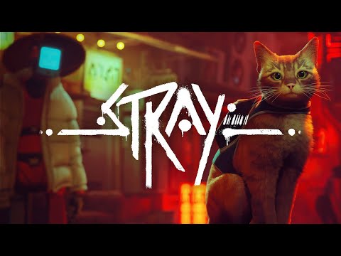 Видео: Потерявшийся котик Stray #1