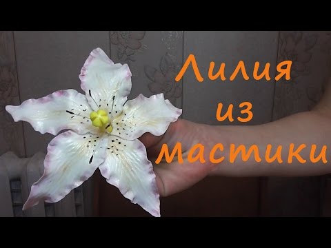 Видео: Лилия из мастики (Цветы из сахарной мастики)