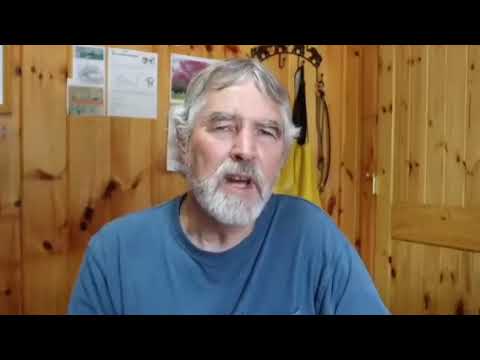 Видео: плюсы кавказской породы пчел