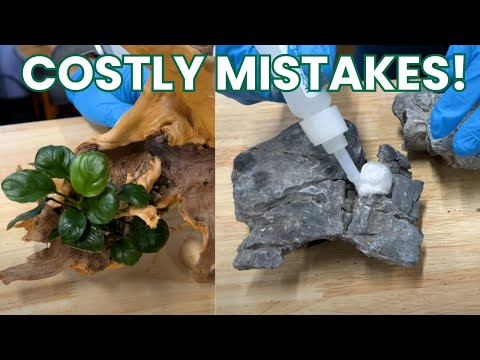 Видео: ПОСМОТРИТЕ ЭТО, прежде чем что-либо приклеивать в аквариуме