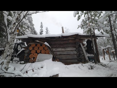 Видео: В избе бардак. Жор щуки. Жизнь в старой избушке. Первый снег.