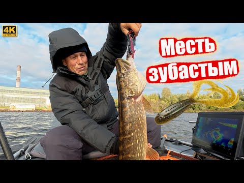 Видео: Щуке сегодня не жить - Месть зубастым тварям