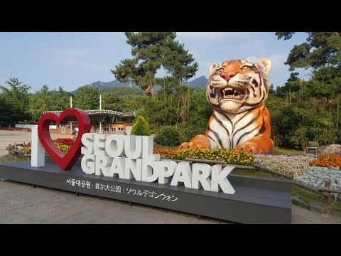 Видео: Увлекательное путешествие в зоопарк города Сеул (서울) Южная Корея Seoul Grand Park