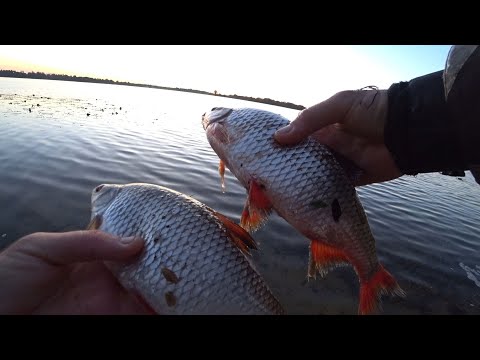 Видео: ⚓ Шлюзи.  Різнорибиця на Дніпрі в сильний вітер 💨