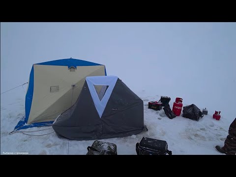 Видео: РЫБАЛКА ЭТО НЕ ТОЛЬКО МЕШОК РЫБЫ 👍 Рыбинское водохранилище, налим.