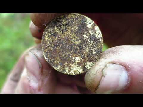 Видео: Коп в лесу.Александр(реставратор).Видео №118