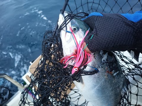 Видео: Троллинг на дальнем кордоне, яхта Мордашова и подводные съемки