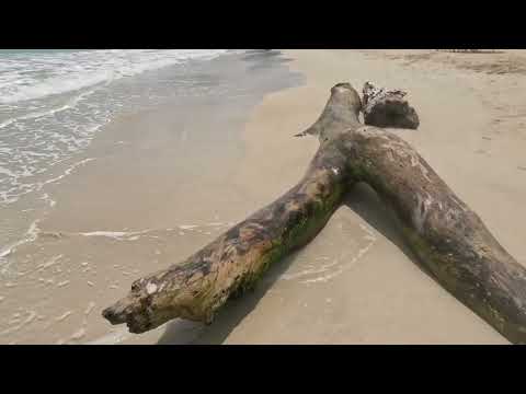 Видео: Прогулка с Equinox 900 пляж "Макао".