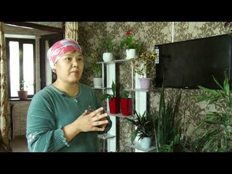 Видео: 8-март "Аалам ажары аялзат"