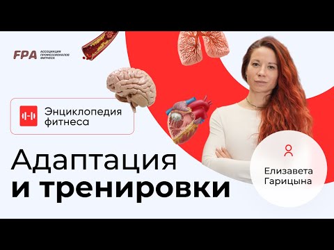 Видео: Адаптация и тренировки | Фитнес-энциклопедия FPA