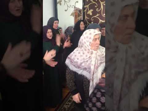Видео: Мавлид Новогагатли 2