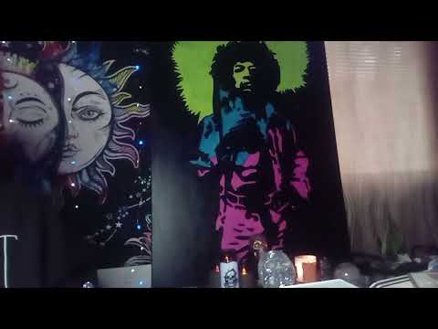 Видео: Скорпионы обожают читать. .Боже мой. .Кто-то вас шокирует.