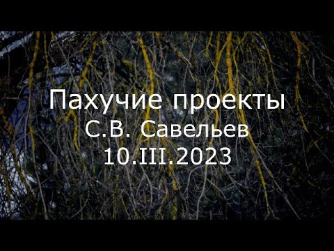 Видео: С.В. Савельев - Пахучие проекты