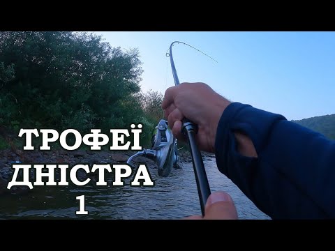 Видео: Це Що Таке! Рибалка На Дністрі спінінгом. ТРОФЕЇ ДНІСТРА (ч-1)