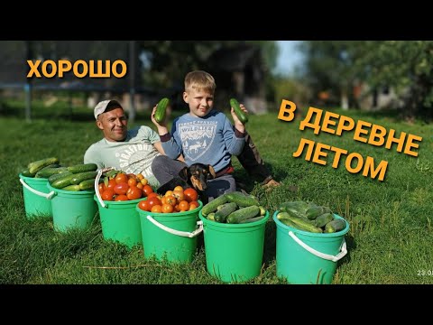 Видео: Обычный день молодой семьи в деревне. Работа днем и ночью.