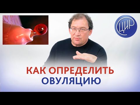 Видео: Признаки овуляции. Определение овуляции в домашних условиях. Как определить овуляцию. Гузов И.И.