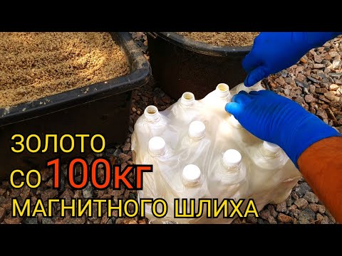 Видео: ЗОЛОТО СО 100 КГ МАГНИТНОГО ШЛИХА