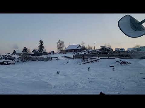 Видео: Шагаем по тихоньку. 14.02.2022. Томмот- Белькачи. Вся жизнь в дороге.