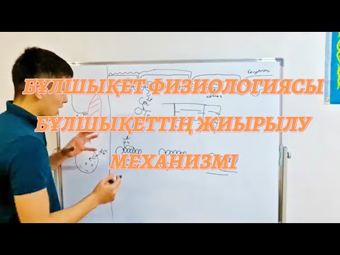 Видео: БҰЛШЫҚЕТ ФИЗИОЛОГИЯСЫ. БҰЛШЫҚЕТТЕРДІҢ ЖИЫРЫЛУ МЕХЕНИЗМІ