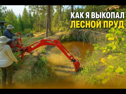 Видео: Мой лесной пруд: история создания и результаты через 2 недели
