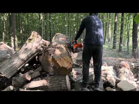 Видео: 21 липня 2023 р.🌲STIHL найкраща пилка💪👍👍