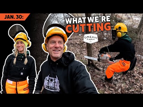Видео: 30 января: Что мы вырежем этой зимой | Dream Farm с Биллом Уинке