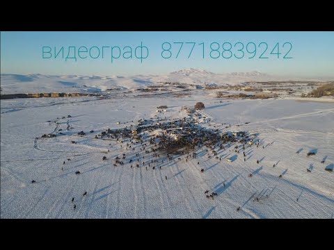 Видео: КӨКПАР 20 01 2023