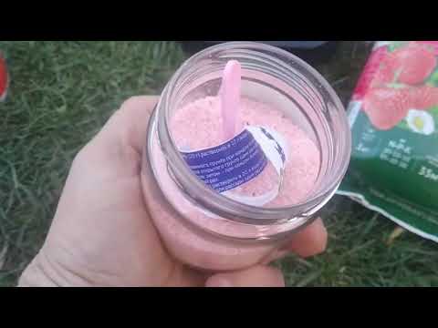 Видео: Удобрения для клубники - чем  кормим? Часть 1 (большая)