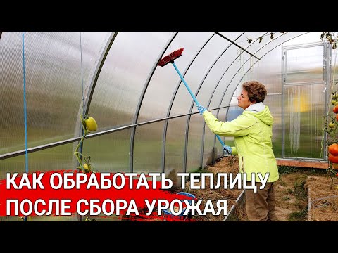 Видео: Как обработать теплицу после сбора урожая